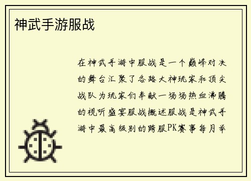 神武手游服战